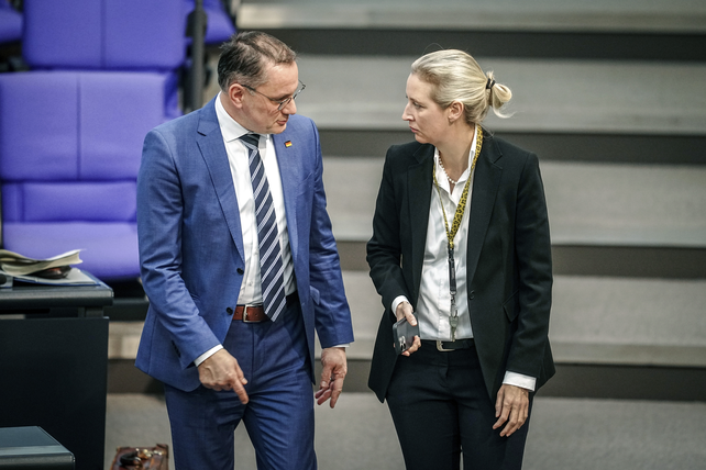 Alice Weidel junto al jefe de la bancada del&nbsp; AfD en el Congreso alemán.