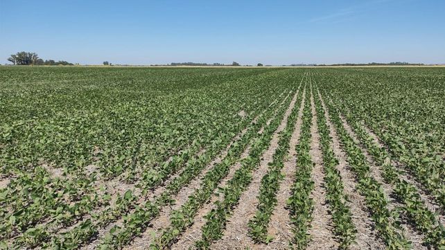 El objetivo del programa de atención ciudadana es brindar asistencia e información sobre los requisitos y beneficios de la Ley 26.509 de Emergencias y Desastres Agropecuarios a productores que hayan sido afectados por la falta de lluvias durante la actual campaña.