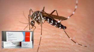 Arribó a las farmacias de Paraná la vacuna contra el dengue. Qué se debe tener en cuenta sobre la Qdenga y qué recomienda el Ministerio de Salud provincial