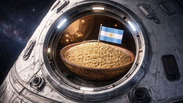 Argentina enviará semillas al espacio para estudiar cómo responden a condiciones extremas