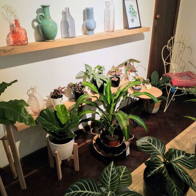 La jardinería se transformó en el pasatiempo favorito de los rosarinos en pandemia