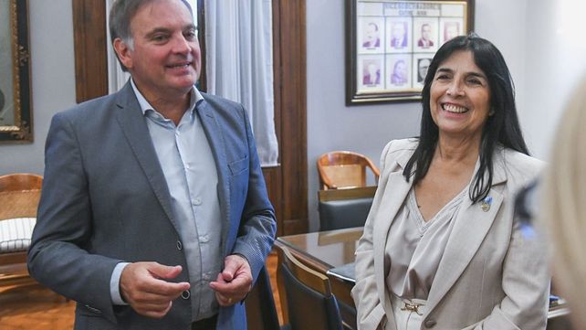 En la primera sesion ordinaria de 2026 del Senado se conformaron las comisiones permanentes y los bloques informaron las designaciones de autoridades