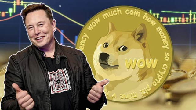 Elon Musk promovió a Dogecoin, respaldado en su fama de empresario innovador y en su enorme cantidad de seguidores en Twitter.