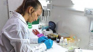 Evaluaron la efectividad de las vacunas contra el Covid-19