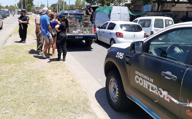 SECUESTRO. Las jaulas con animales estaban en malas condiciones.&nbsp;