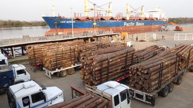 Puerto de Concepción: comenzó un nuevo embarque de madera
