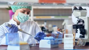 Investigadores