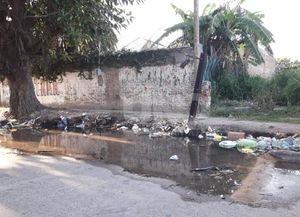 Microbasurales en Santa Fe: el municipio carga hasta ocho camiones por día de residuos recolectados de distintos barrios