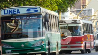 Planifican que los colectivos se vuelvan a diferenciar por color