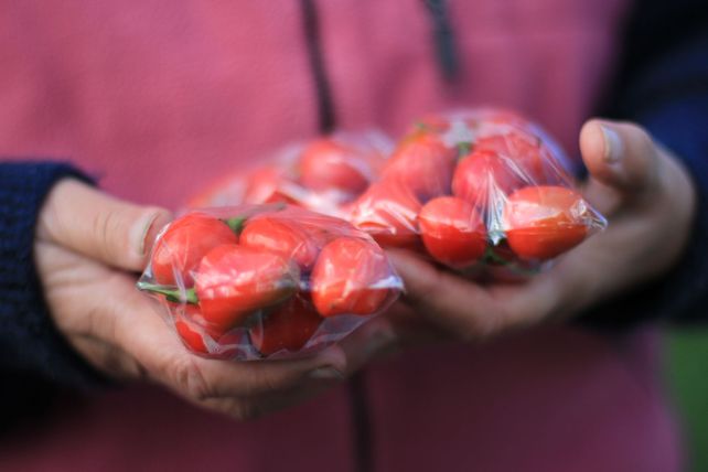 Producen alimentos para consumir y vender.&nbsp;