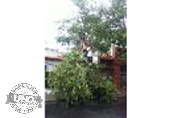 Terrible temporal de lluvia y viento generó graves destrozos en Paraná