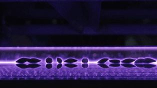 Una startup que usa plasma para mejorar semillas fue elegida entre las 10 más innovadoras de América latina