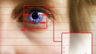 Crean un novedoso tejido tridimensional de retina a partir de células madre