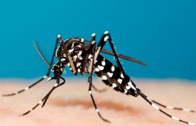 Falleció una adolescente afectada por dengue en Misiones