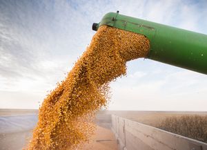 Retenciones: estiman que el agro aportará US$4.613 millones en 2026