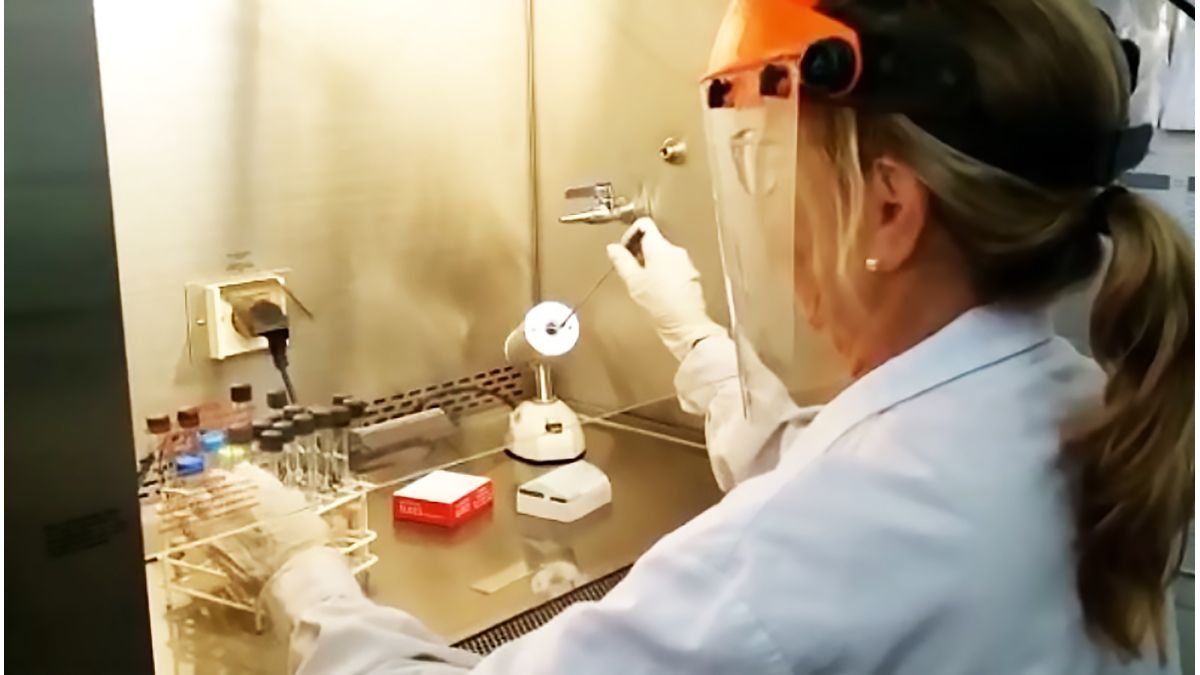 Leptospirosis en Entre Ríos: 15 casos en lo que va de 2026