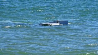 Susto en la Playa Mansa de Punta del Este por la caída de una avioneta