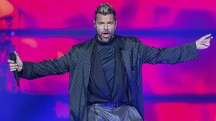 “Las acusaciones contra Ricky Martin que llevaron a una orden de protección son completamente falsas y fabricadas, expresaron los abogados de Ricky Martin.