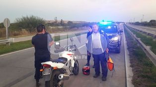 Desgracia con fortuna: un motociclista chocó un caballo y salvó su vida de milagro