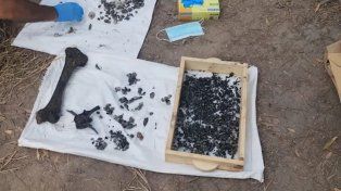 Finalmente, la madre de Cecilia Strzyzowski recibirá las cenizas de su hija