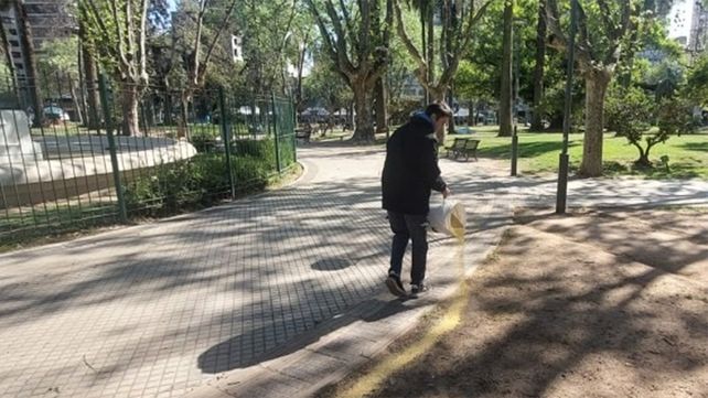 El municipio aplica anticonceptivos para palomas