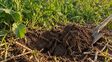 Frente a suelos degradados, sistemas regenerativos: el nuevo horizonte del agro
