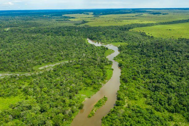 Es el segundo más profundo del mundo después del Baikal, en Rusia, y quizá el más importante de África, ya que sirve de frontera a cuatro países: Tanzania, Burundi, Zambia y la República Democrática del Congo.