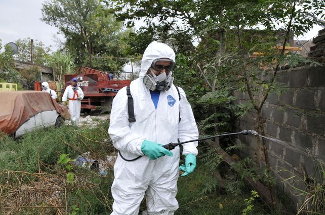 Chikungunya: confirman un caso con antecedente de viaje a Paraguay