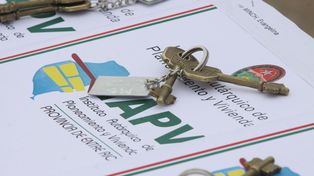El IAPV fue a la Oficina Anticorrupción por una denuncia del senador Kisser