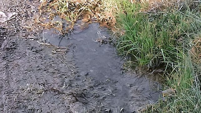 Paraná: vecinos de Vicoer 46 Viviendas reclaman por caños de agua rotos