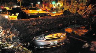 Un muerto por violenta tormenta en Tucumán