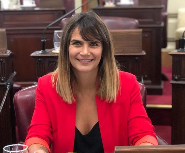 La iniciativa de la diputada Granata fue blanco de objeciones.