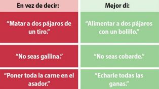 Eliminar el especismo: Peta Latino reclama que se deje de usar el lenguaje antianimal