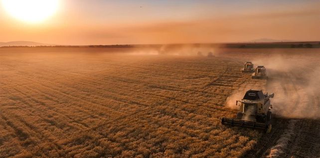 La actividad agropecuaria creció más de 18% en el primer trimestre
