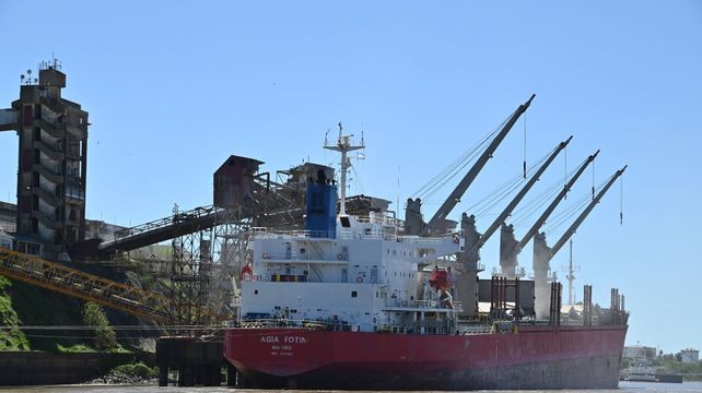 Las exportaciones de aceite adquirieron un gran dinamismo este año.