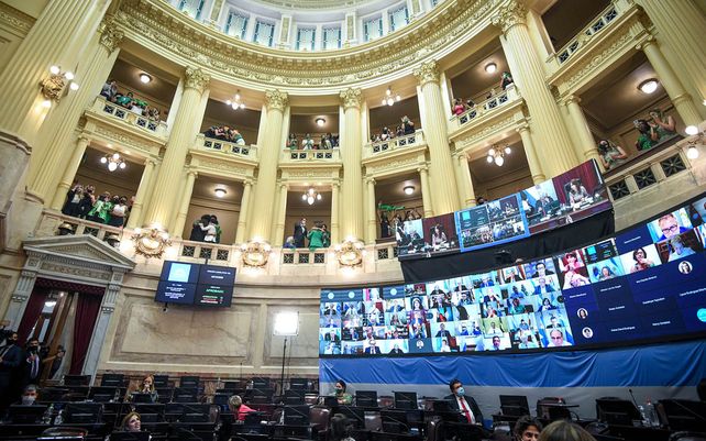 Emoción en los festejos en Argentina por la legalización del aborto