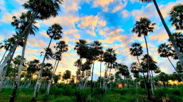 El Palmar recibe 175.000 turistas al año