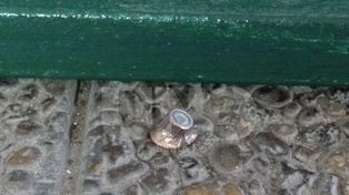 Serena sigue muy grave y con pronóstico reservado