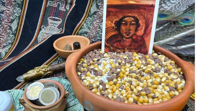 Caña con Ruda