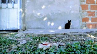 Crimen en Cabín 9: mataron a balazos a una mujer de 39 años