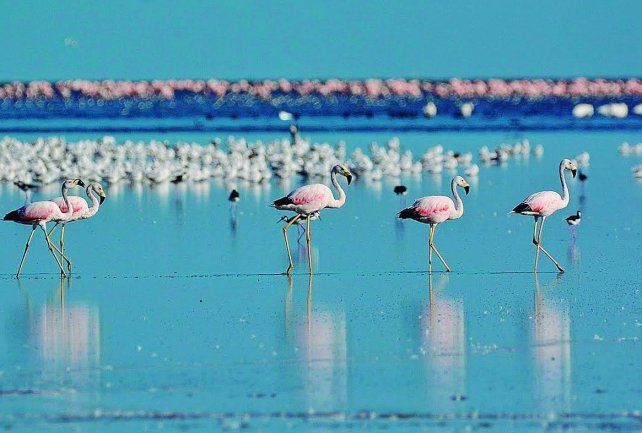 También conocido como Laguna Mar Chiquita