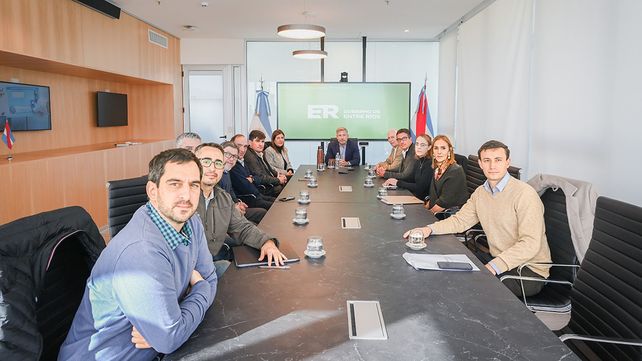 Gestionan un alivio en tarifas eléctricas para el sector foresto-industrial