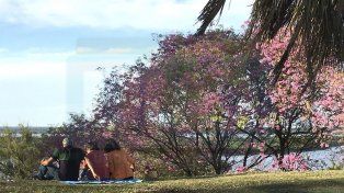 Inicia un fin de semana primaveral en la región