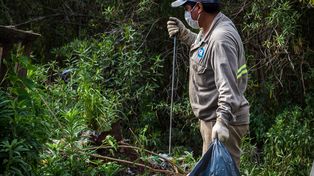 Se requiere a los voluntarios que asistan a la jornada de limpieza a llevar guantes y bolsas para recolectar, mate y almuerzo para compartir.