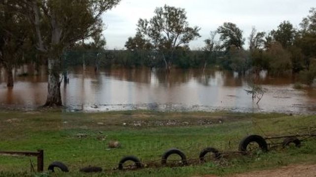 El río Uruguay crece y complica ciudades con unos 650 evacuados.