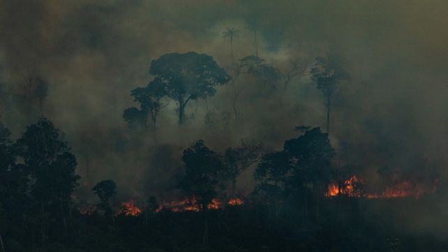 Las zonas protegidas apenas alcanzan el 15% en todo el planeta.