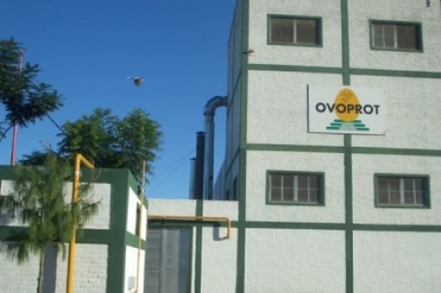 Qué pasará con Ovoprot y los trabajadores que fueron despedidos