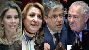 La ley Bases dividió posiciones entre los diputados nacionales por Santa Fe.&nbsp;