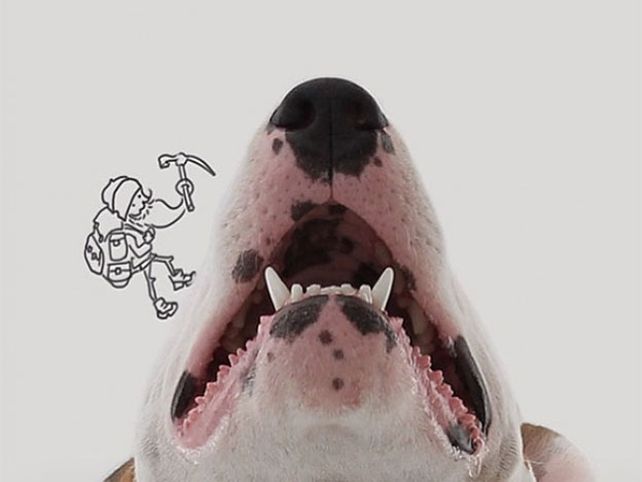 Su esposa lo dejó, pero creó un mundo con su perro