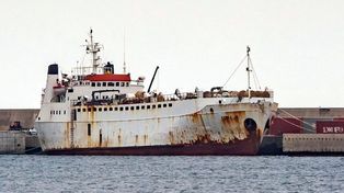 Miles de terneros quedaron dos meses atrapados en barcos condenados a morir